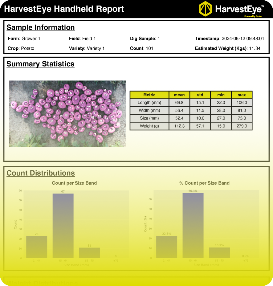 HH report-2