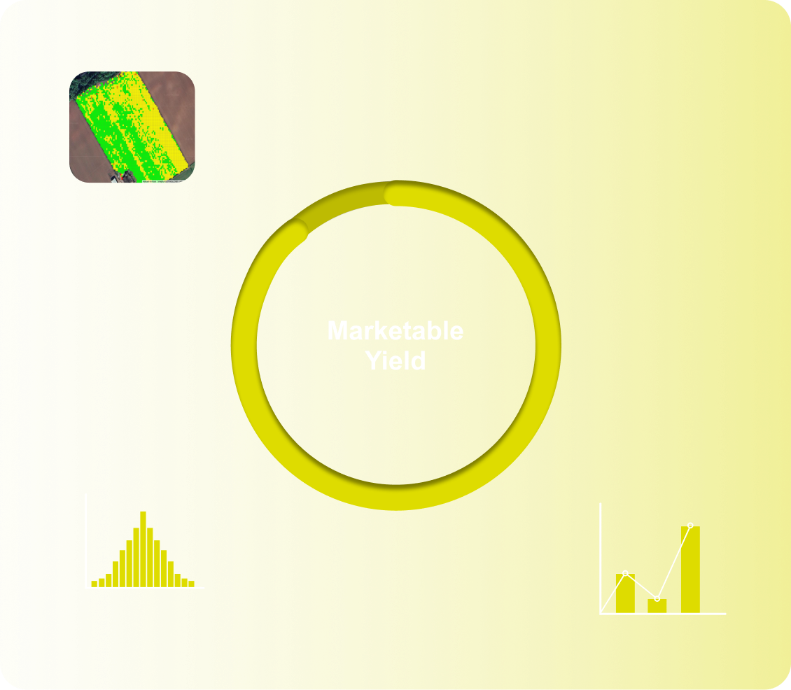 HarvestEye Marketable Yield-2